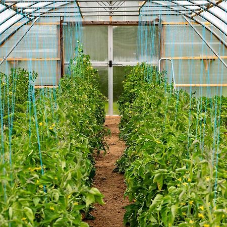 Mothir Joerth Organic Farm Guesthouse In Vallanes Esterno foto